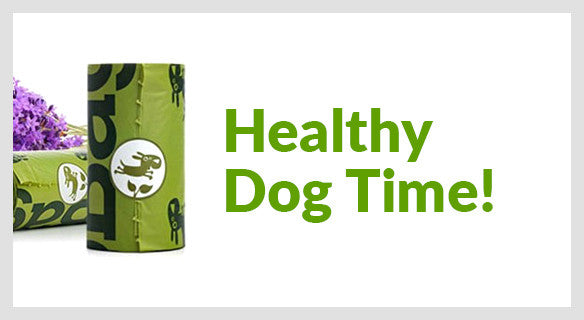 Healthy Dog Time!