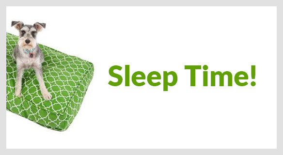 Sleep Time!
