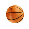 Basketball Plush Dog Toy