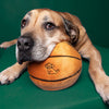 Basketball Plush Dog Toy