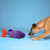 Cici the Tropical Fish Plush Toy