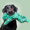 Oliver the Frog Plush Toy