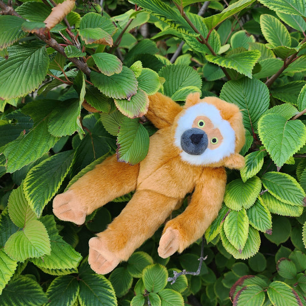 Marcel Monkey Plush Dog Toy – Fun Time Dog Shop