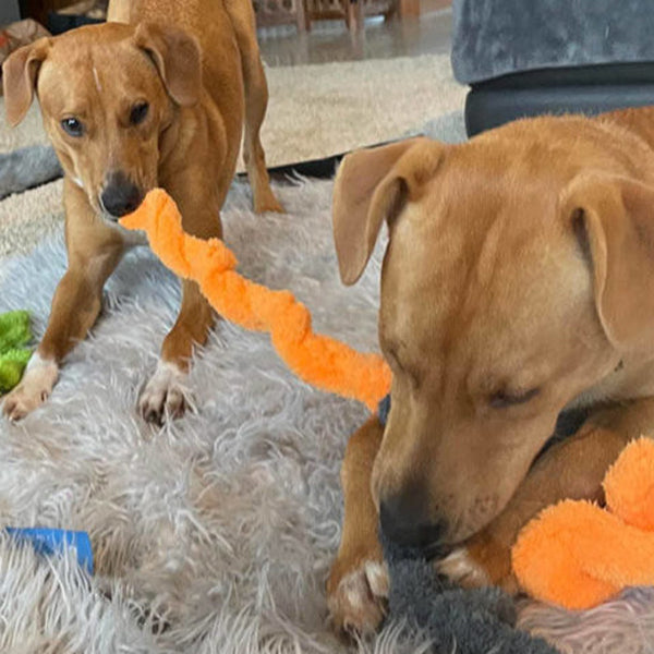 Discovering the Joy of Dog Toys – The Dogs Stuff