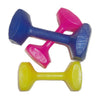 Pro-Trainer Retrieving Dumbbells for Dogs