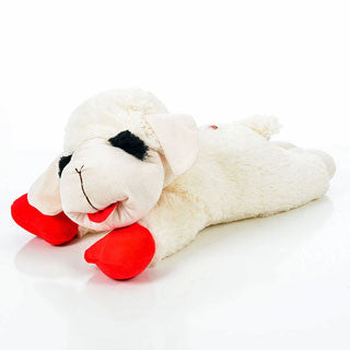 Lamb chop dog online