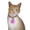 PetLit LED Collar Light
