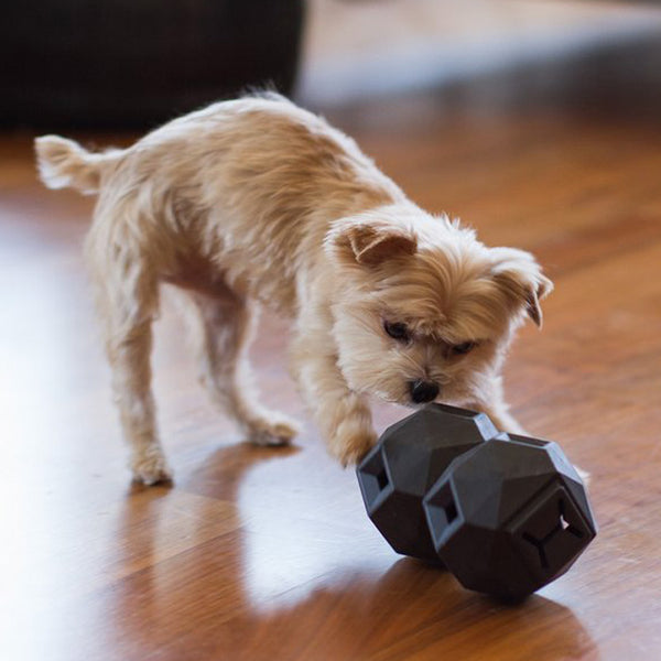 Treat Dispensing Toy, The Odin