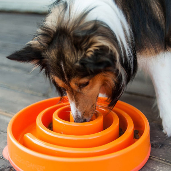 FUN FEEDER FUN FEEDER DOG BOWLS