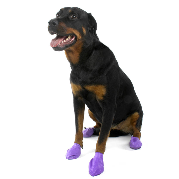 Pawz Dog Bottes De Chien En Caoutchouc Naturel Biodégradables - Protection Pattes