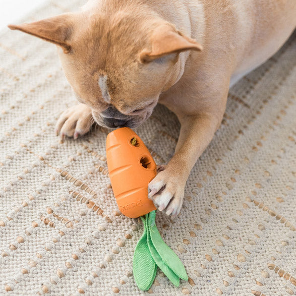 Carrot Stuffer Treat Dispenser