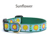 Collars & Leashes<br>Flower Collection<br>4 Patterns