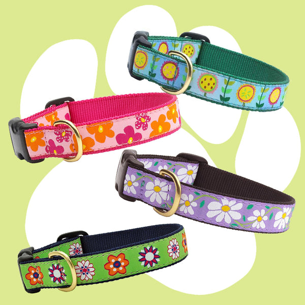 Collars & Leashes<br>Flower Collection<br>4 Patterns