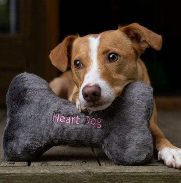 Heart Dog Bone - Plush Toy