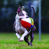 Beach Ball Plush Dog Toy