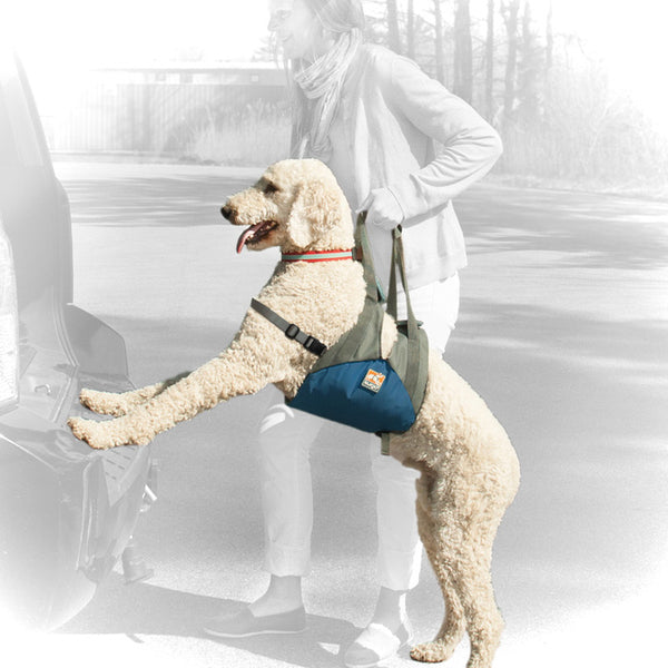 Up & About Dog Lifter