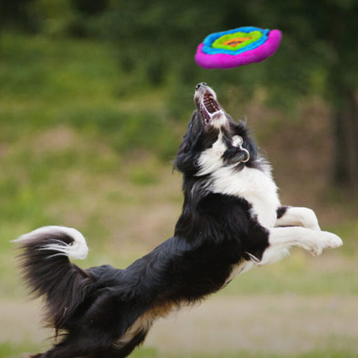 Duraplush Unstuffed Soft Flyer Toy Fun Time Dog Shop duraplush-unstuffed-soft-flyer-toy-fun-time-dog-shop