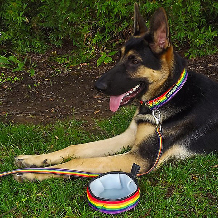 Rainbow Pride Waterproof<br>Dog Collar & Leash Collection