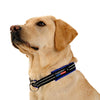 ComfortFlex Limited Slip Collar