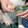 Safari Professional Dog Nail Trimmer