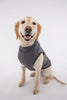 Insect Shield T-Shirt <br>for Dogs in 3 colors - ON SALE!