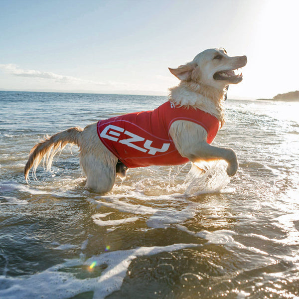 The EzyDog Dog Rashie - UV Protection & Swim Shirt