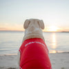 The EzyDog Dog Rashie - UV Protection & Swim Shirt