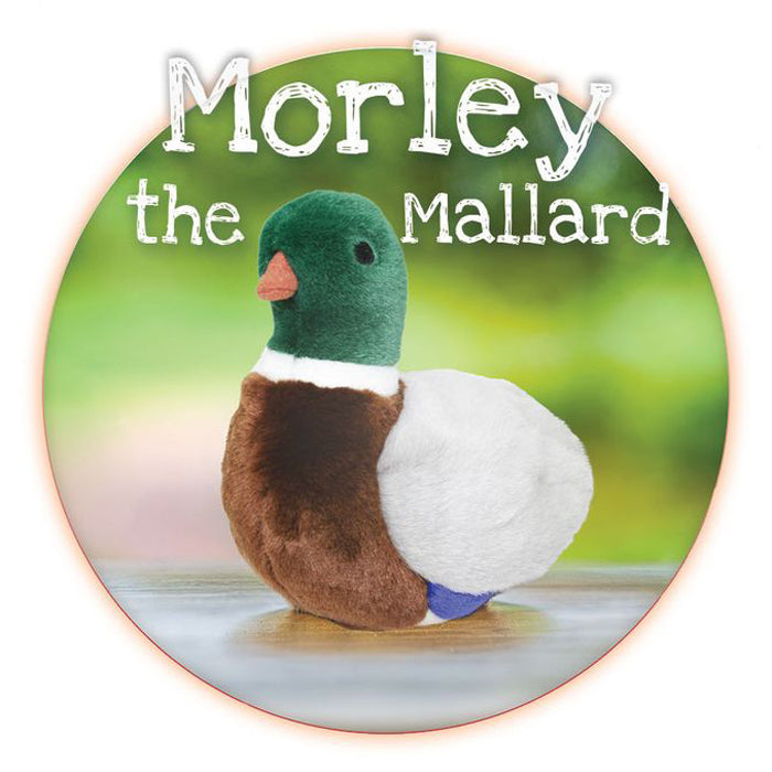Morley the Mallard Plush Toy – Fun Time Dog Shop