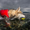 Skipping Stones - a fun play & chew toy