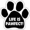 Dog Magnets - Paw Collection -13 different styles