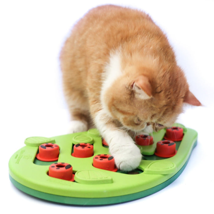 Puzzle Toys for Cats, Cat Games