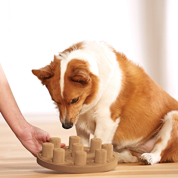 Dog Smart Puzzle – Fun Time Dog Shop