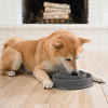 Fun Feeder Dog Bowl<br>slows down mealtimes