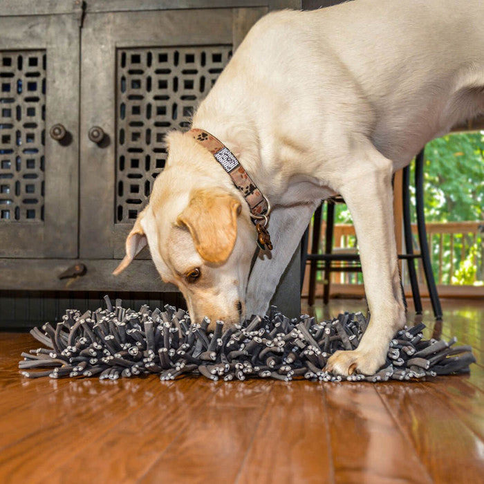 Wooly Snuffle Mat – Fun Time Dog Shop