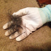 SwiPets - Pet Hair Removal Glove