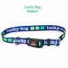 TuffLock Dog Collars & Leashes - 12 fun patterns!