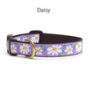 Collars & Leashes<br>Flower Collection<br>4 Patterns