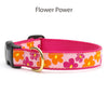 Collars & Leashes<br>Flower Collection<br>4 Patterns