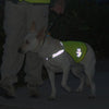 Reflective Safety Vest